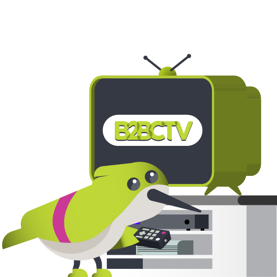 connected tv advertising ctv advertising